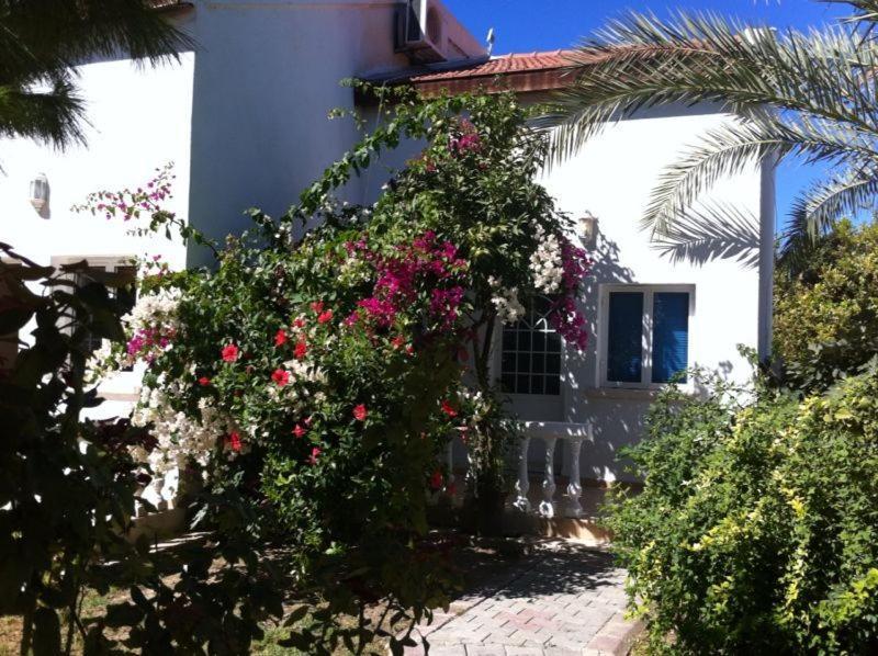 Agios Georgios  The Prince Inn Hotel & Villas מראה חיצוני תמונה