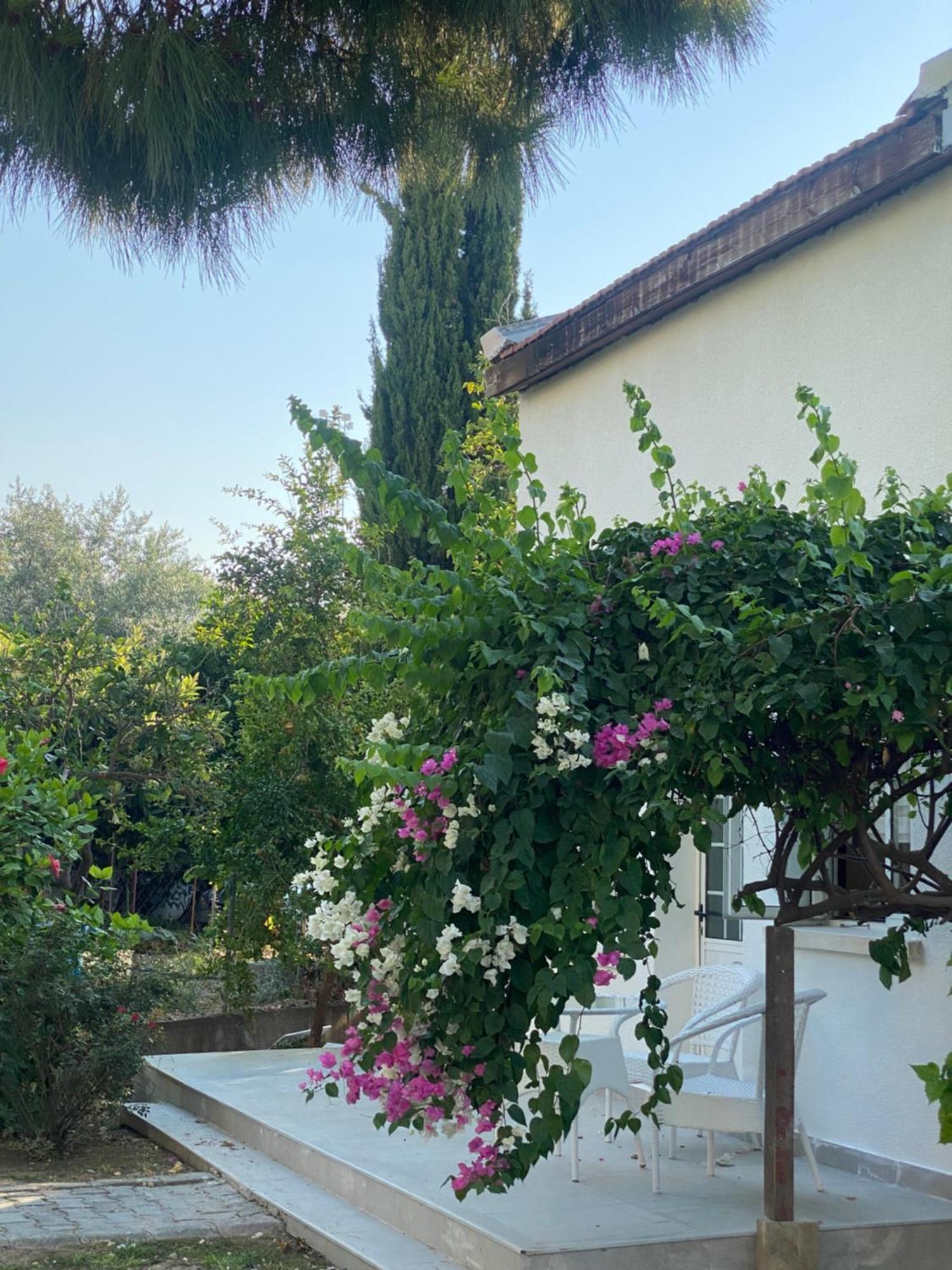 Agios Georgios  The Prince Inn Hotel & Villas מראה חיצוני תמונה